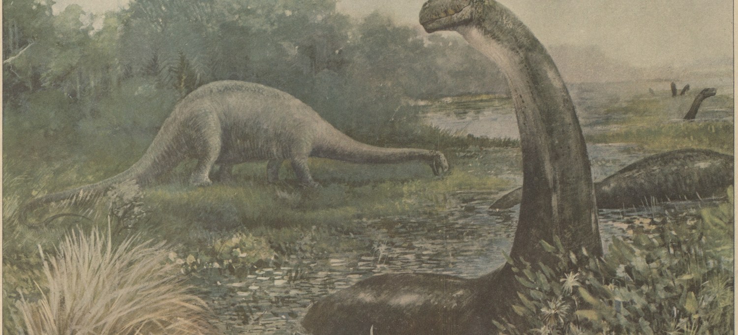 Pintura de 1897 de Charles R. Knight del Brontosaurus, con el cuello alzado sobre un pantano