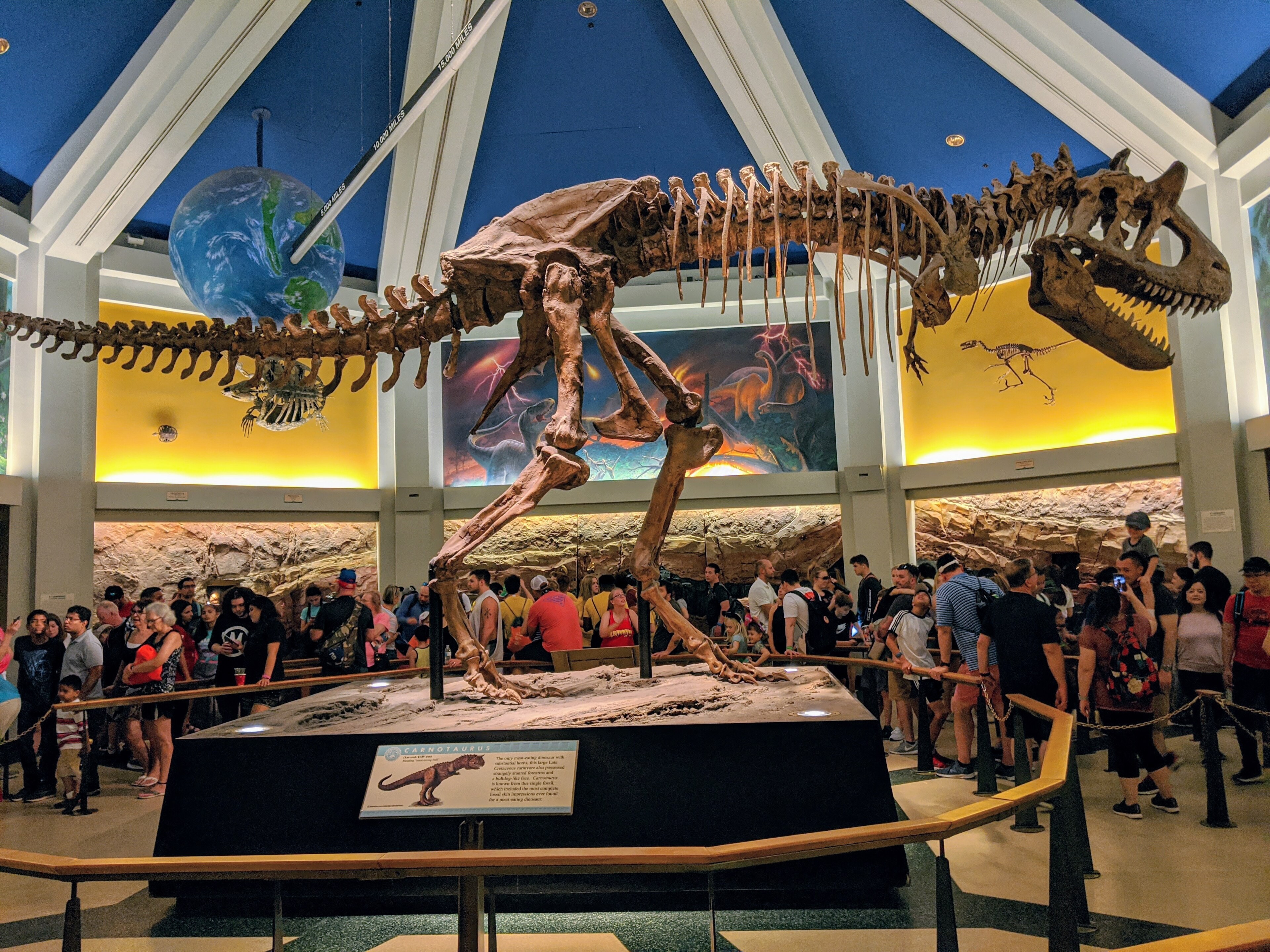 A Carnotaurus sastrei skeletal cast on display in a museum, with visitors gathered around the base