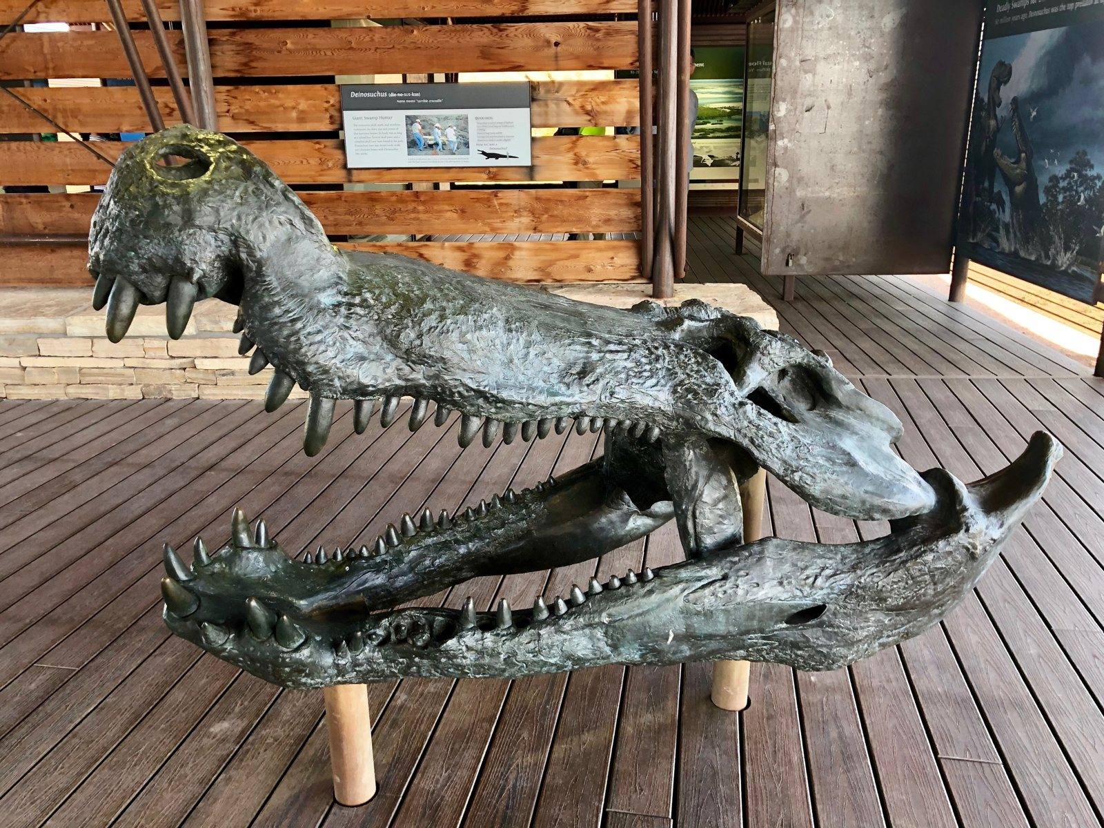 A life-size Deinosuchus skull mounted on two wooden posts in a museum gallery, photographed from the side with its jaws held wide open. Large conical teeth hang from the upper jaw and rise from the lower one. Behind the mount are a slatted timber wall, an interpretive panel and a polished wooden floor.