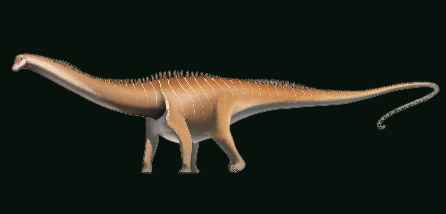 Reconstrucción en vida de Diplodocus, un saurópodo de cuello largo