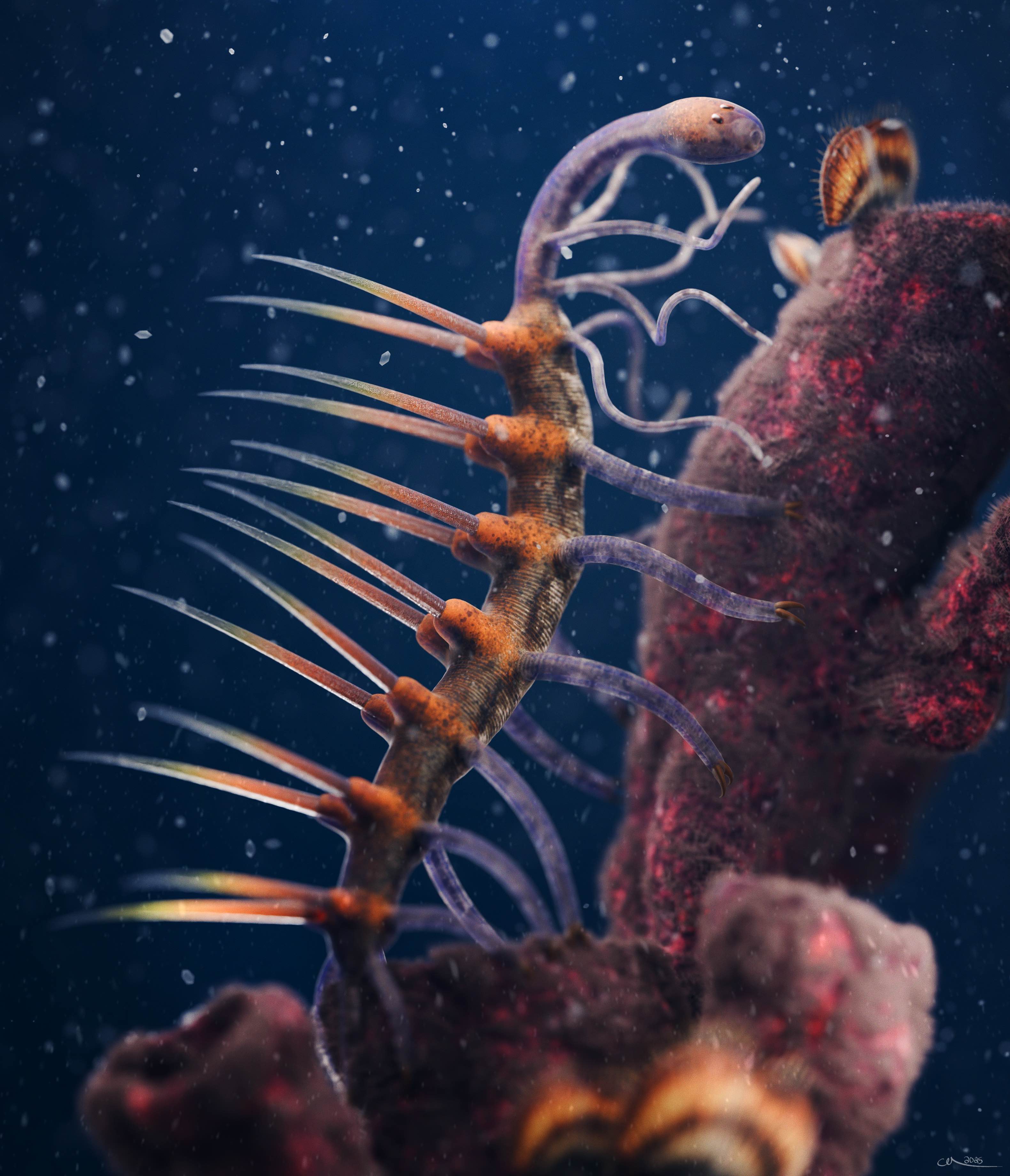 A life restoration of Hallucigenia, a small spined animal, on a Cambrian seafloor