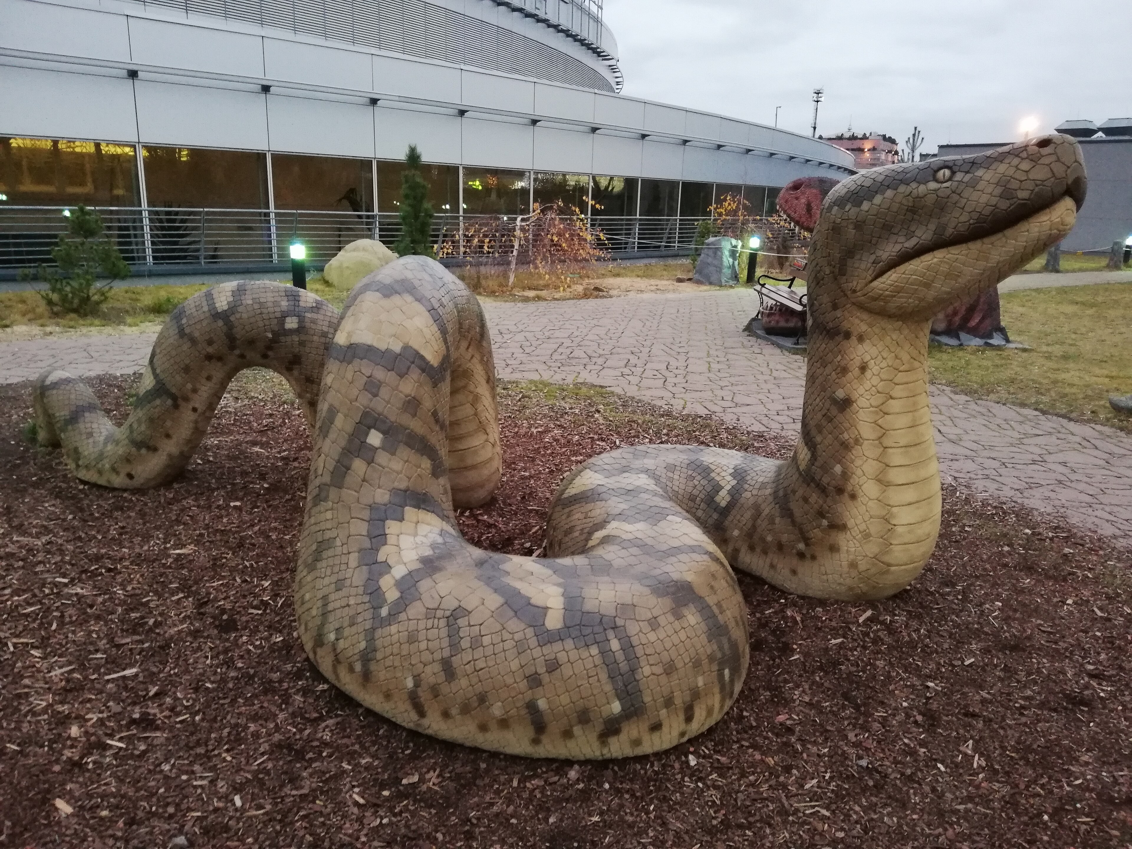 Life-size sculptural model of the giant fossil snake Titanoboa cerrejonensis, coiled outdoors