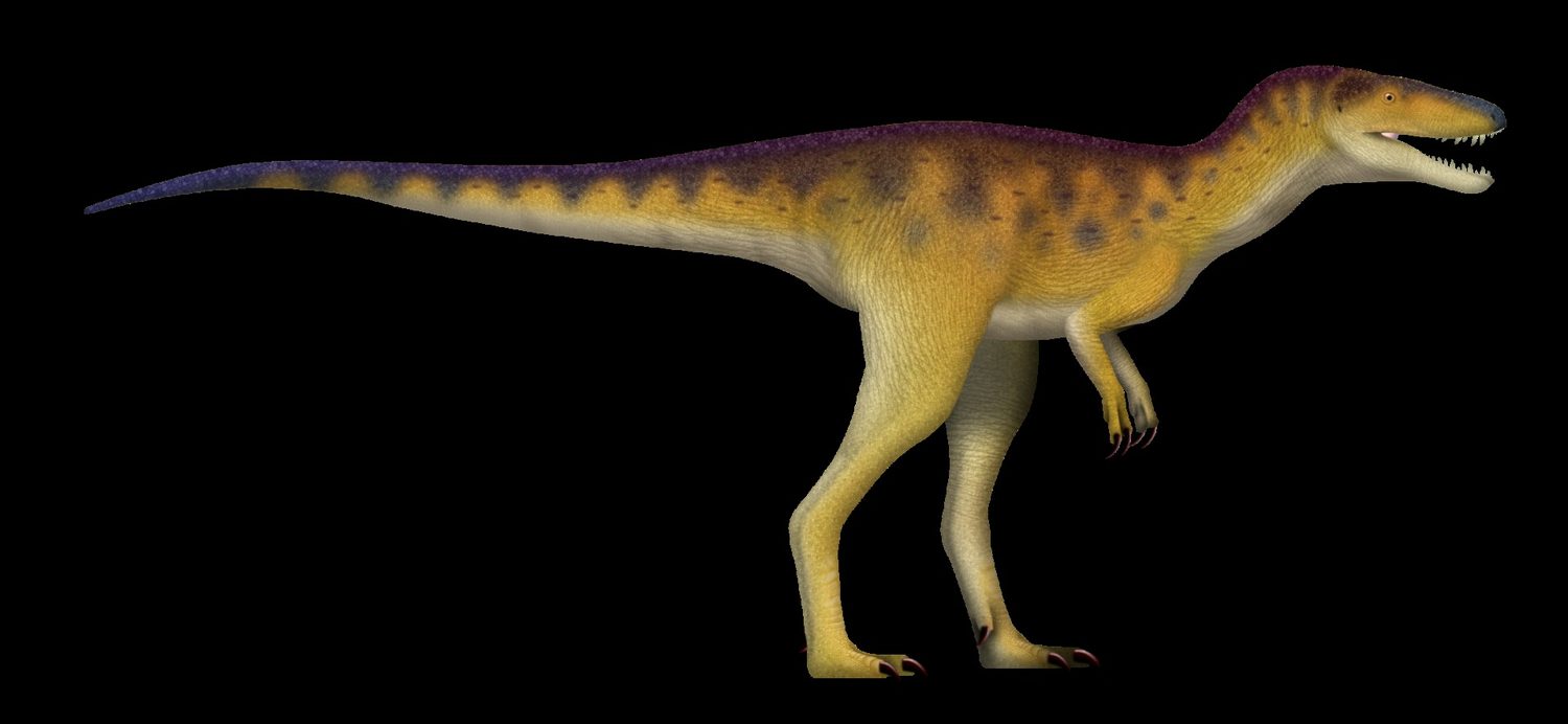 Reconstrucción de Khankhuuluu, un tiranosauroide temprano
