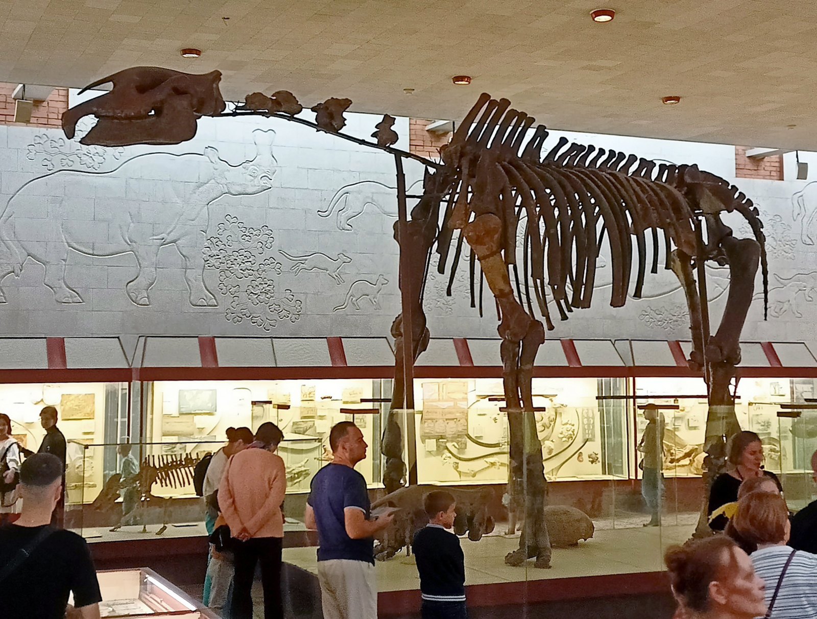 A mounted skeleton of Paraceratherium in a museum hall in Moscow: a long-legged, long-necked skeleton, dark brown, towering over a group of visitors standing below it, with a carved relief wall behind.