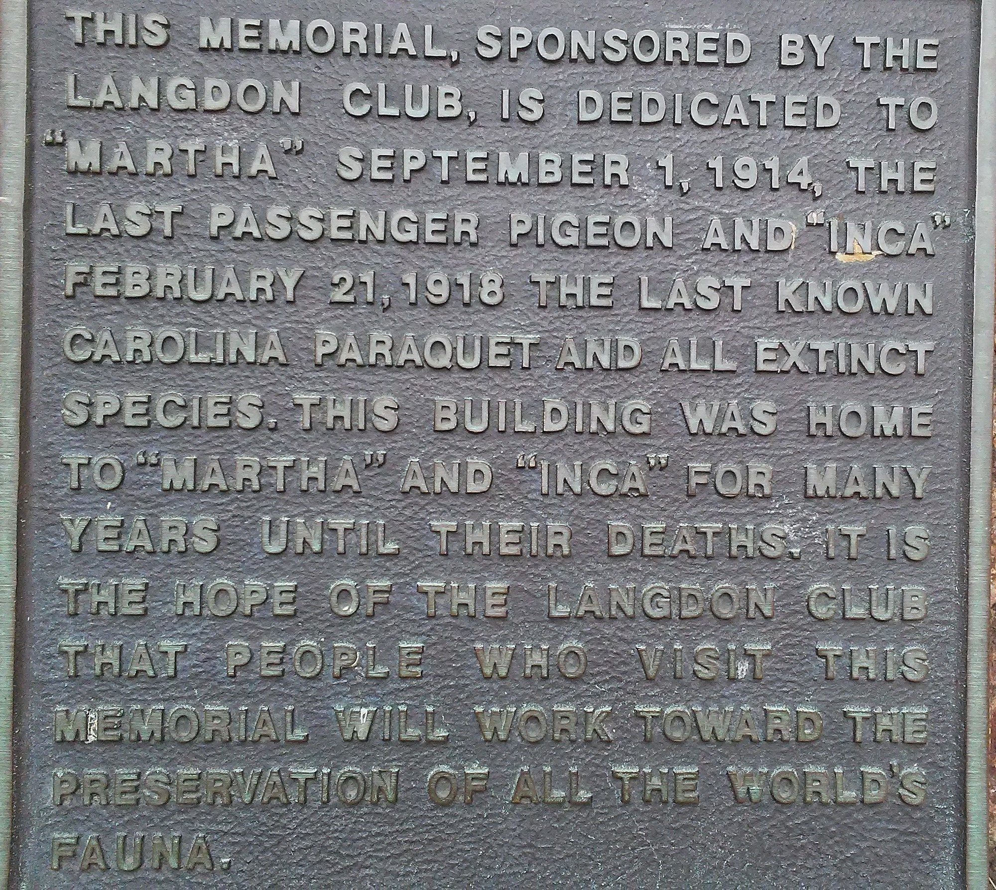 A weathered cast-bronze memorial plaque on pink granite at the Cincinnati Zoo, with raised capital lettering commemorating Martha and Incas