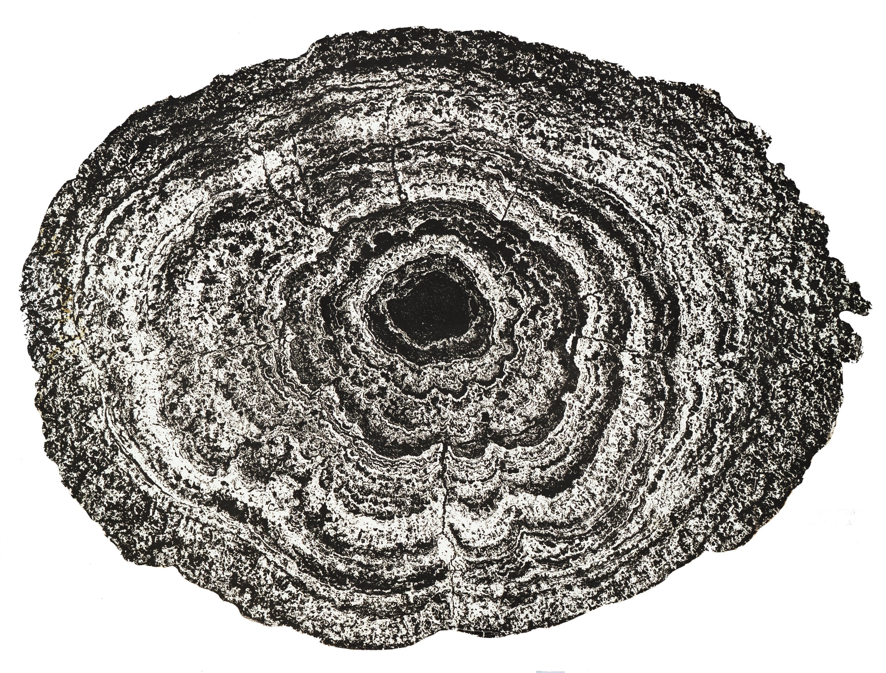 A manganese nodule sliced in half and photographed in cross-section, showing dense concentric growth layers around a small core