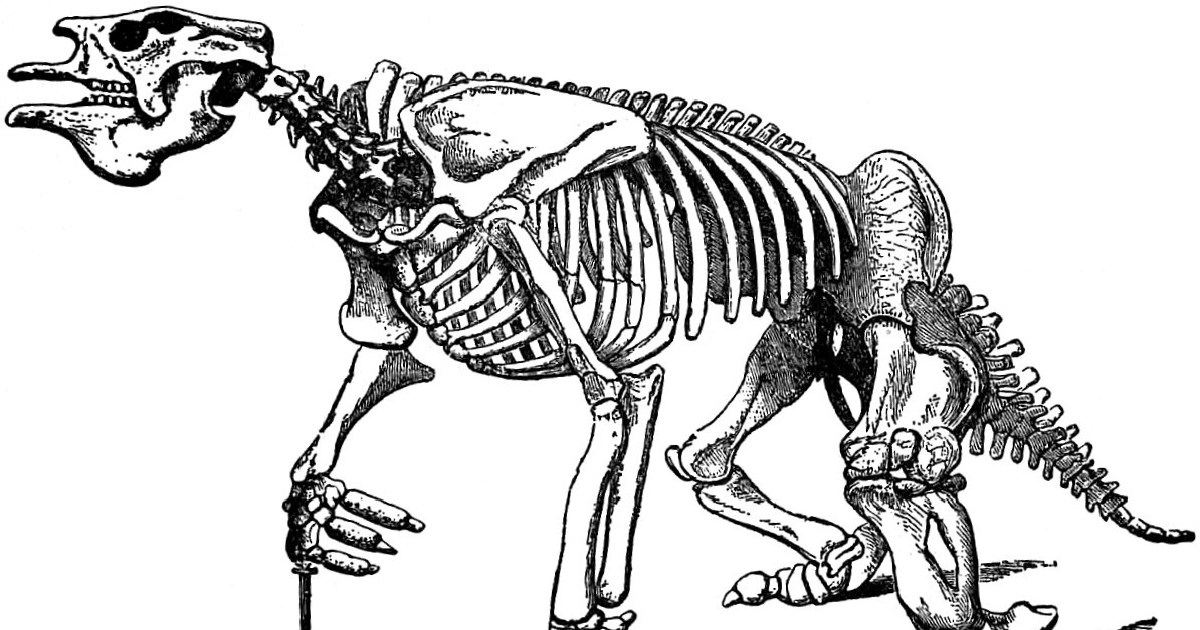 Skeleton of the giant ground sloth Megatherium