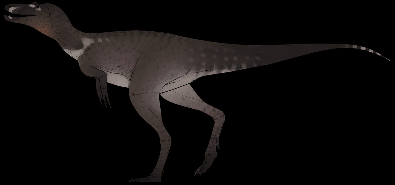 Reconstrucción de Nanotyrannus, un tiranosaurio pequeño