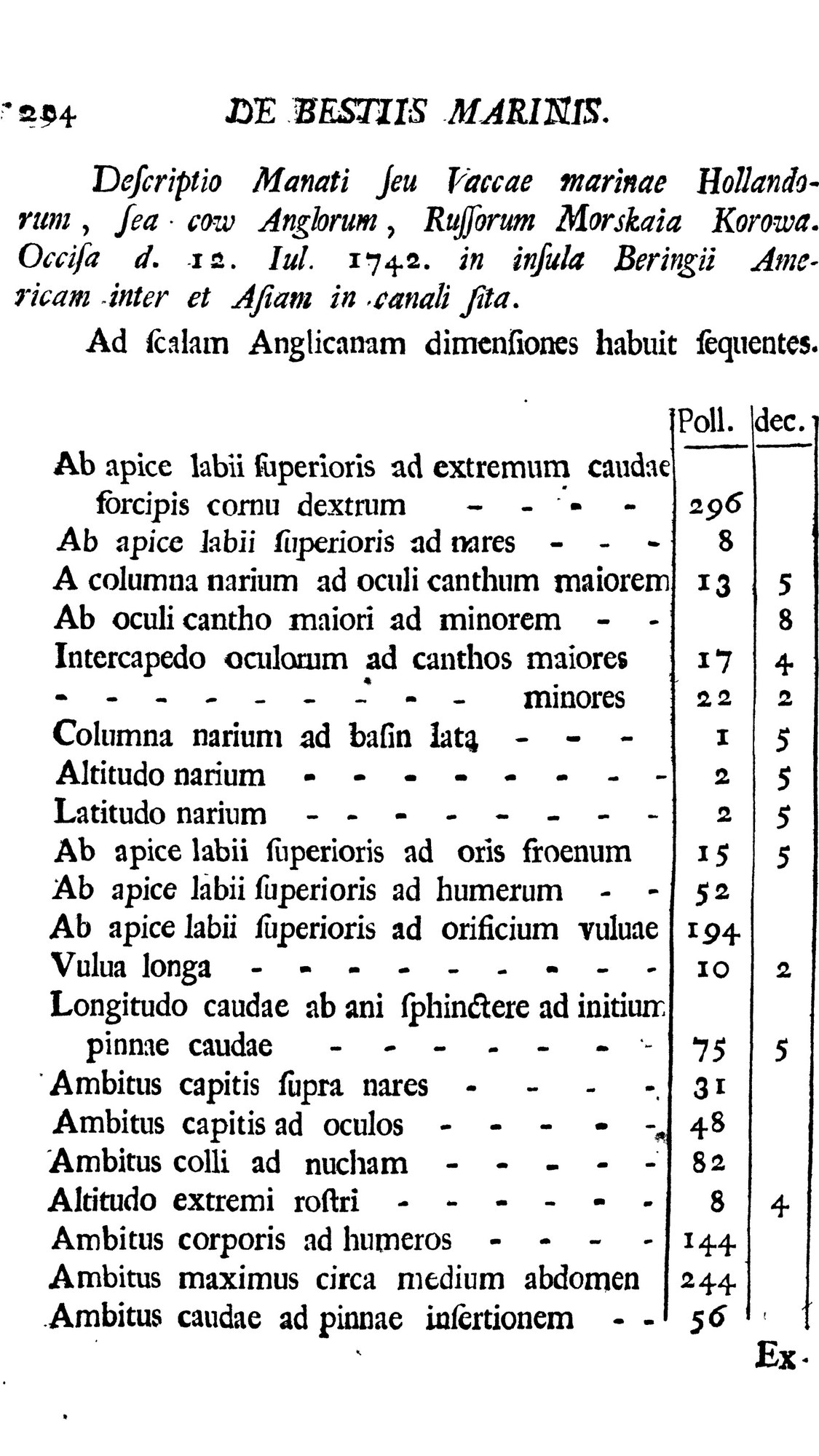 A printed page in Latin: a heading about the sea cow killed on 12 July 1742 on Bering Island, then a table of measurements in inches whose first row reads 296.