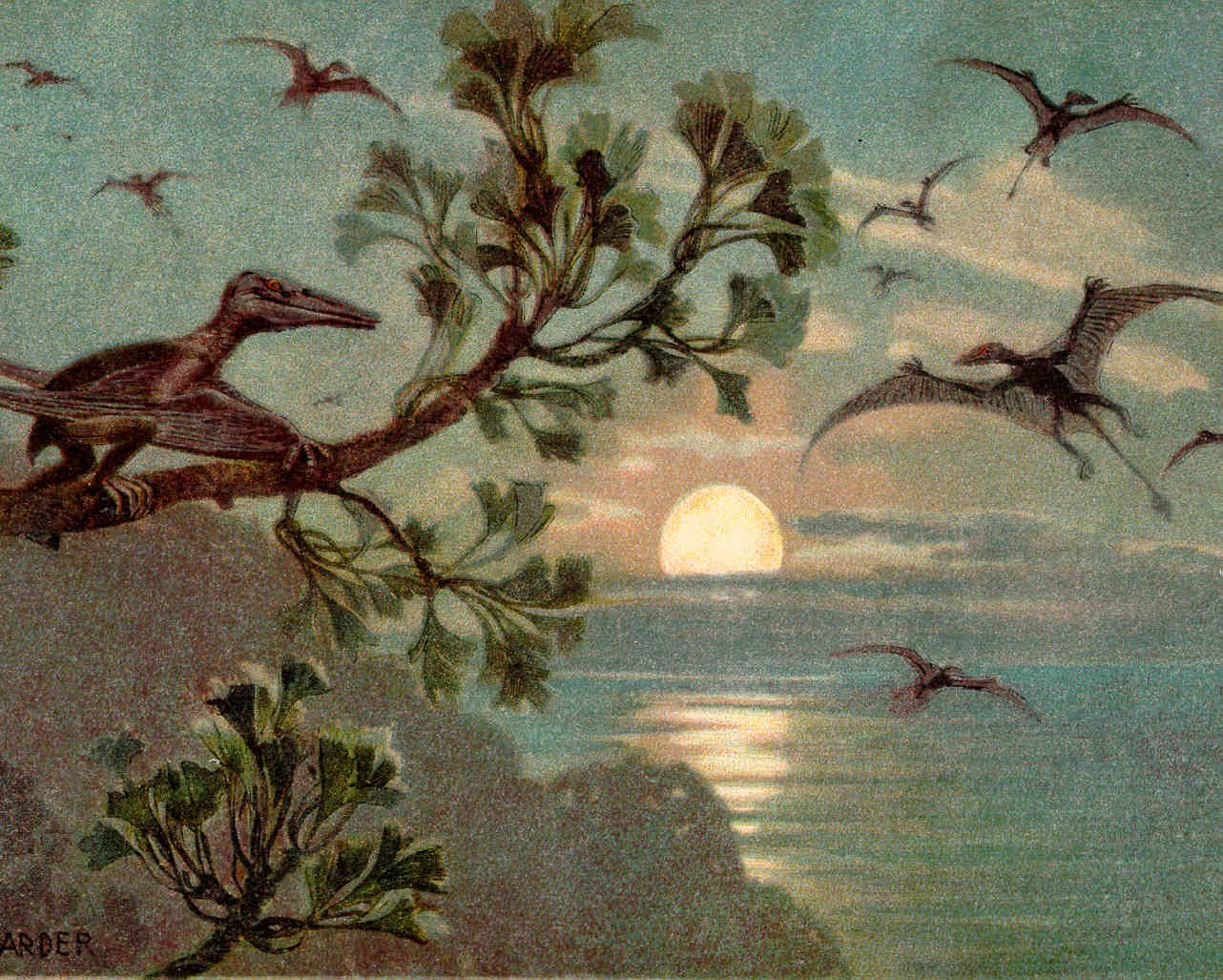A painting of pterosaurs at sunset over the sea: one perches on a branch in the foreground while others fly past, all drawn with smooth, bare, reddish-brown skin