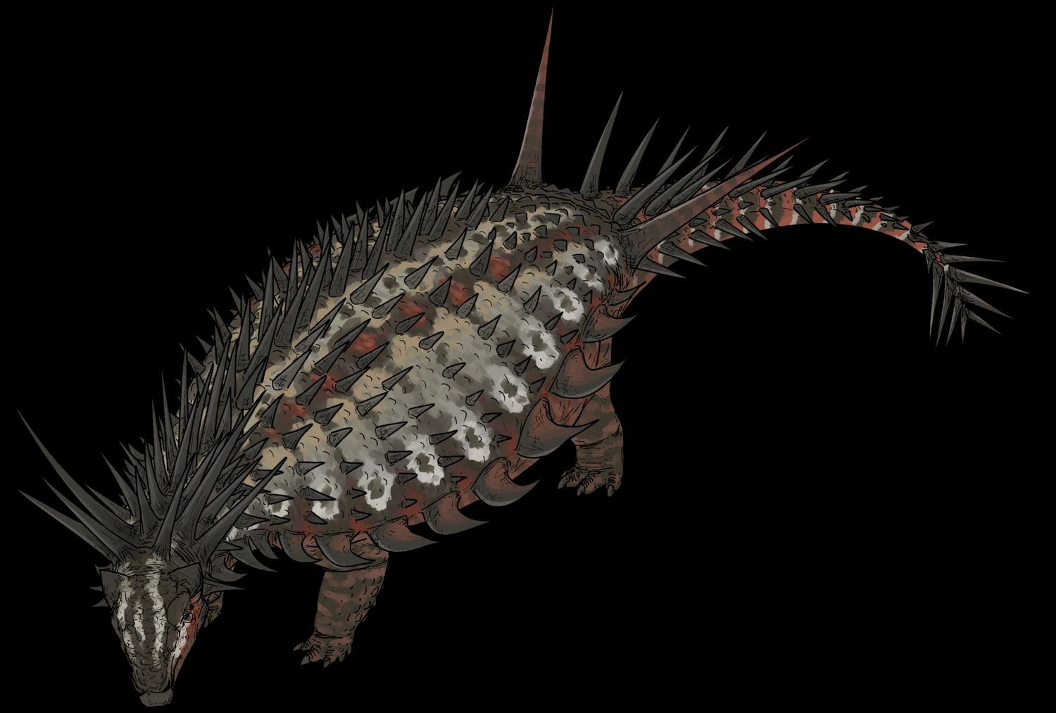 Reconstrucción de Spicomellus afer, cubierto de largas púas fusionadas al cuello y al cuerpo