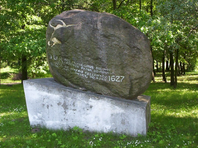 A large boulder on a stone plinth in a sunlit forest clearing, carved with an aurochs relief and the year 1627