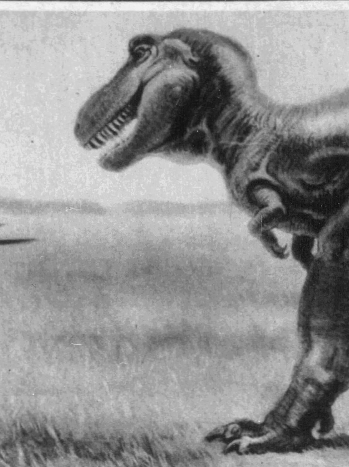 Cropped detail of Charles R. Knight's early-20th-century painting of Tyrannosaurus, mouth open, teeth bared