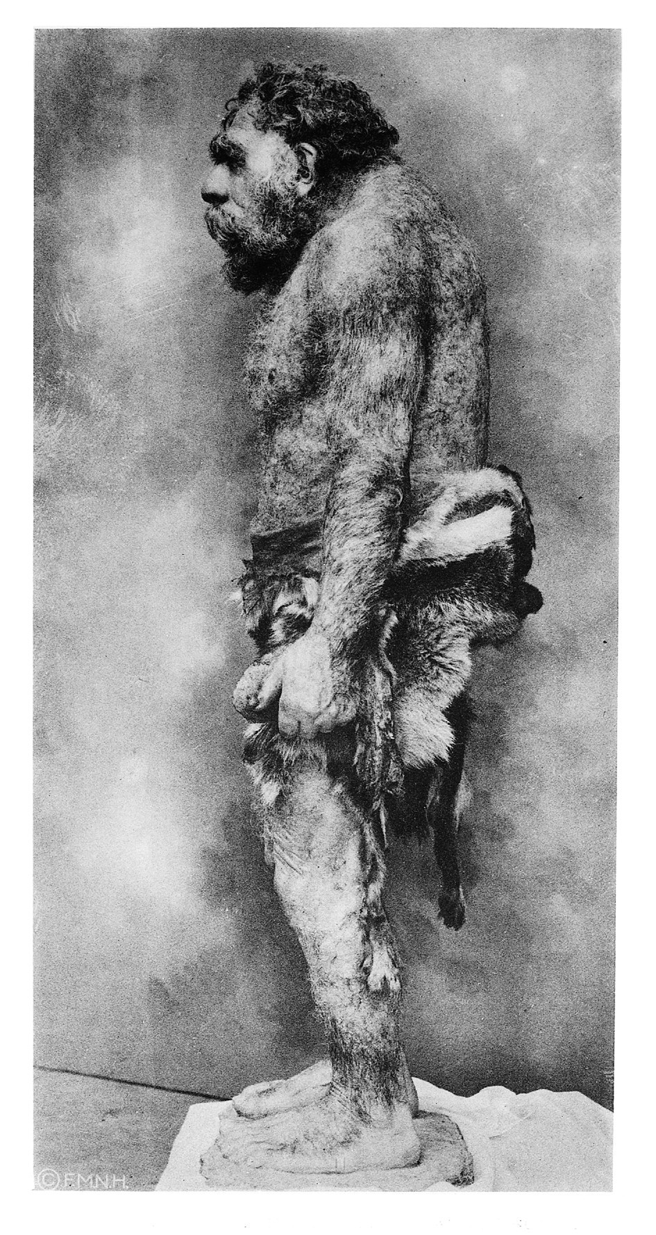 An early-20th-century photographic restoration of a stooped, hairy Neanderthal man, shown in profile with bent knees and a forward-thrust head