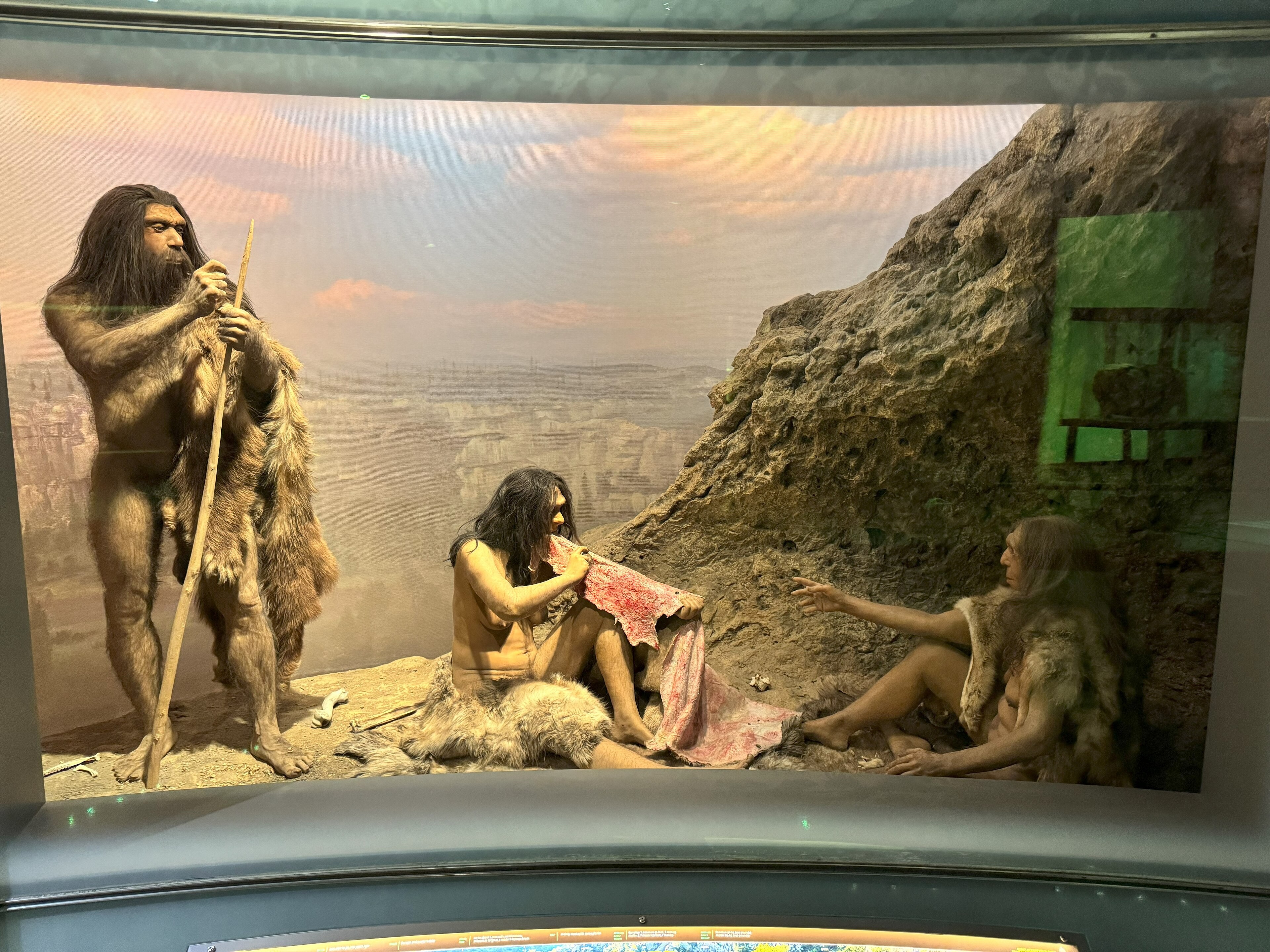 A museum diorama showing an upright, muscular reconstructed Neanderthal figure standing at a cliff edge holding a long spear